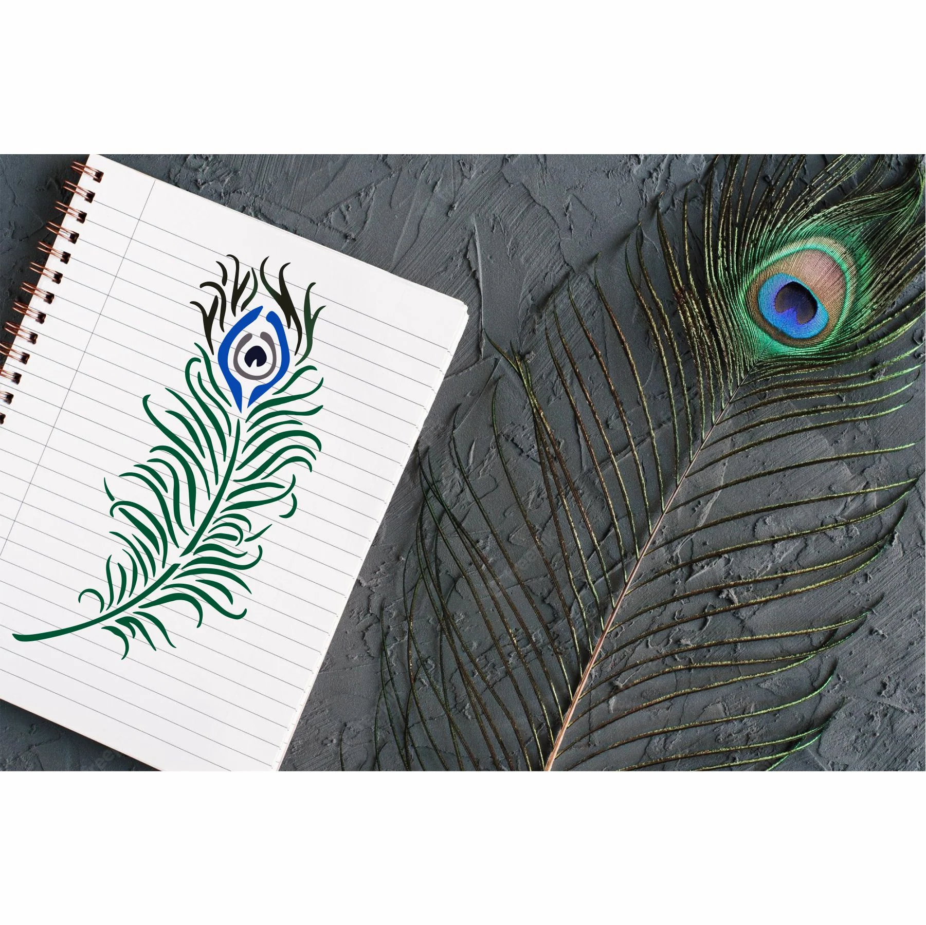 Peacock Feather Reusable Stencil For Canvas And Wall Painting.ID#471 - Image 8