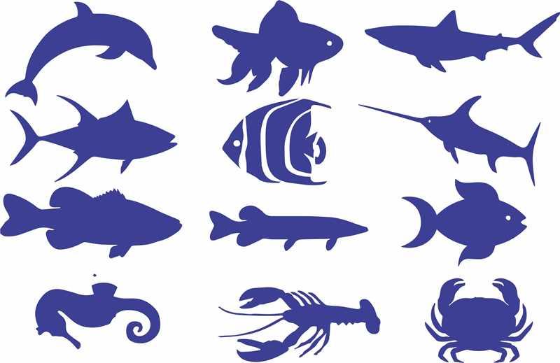 Sea Animals Reusable Stencil For Canvas And Wall Painting.ID#134 - Image 6